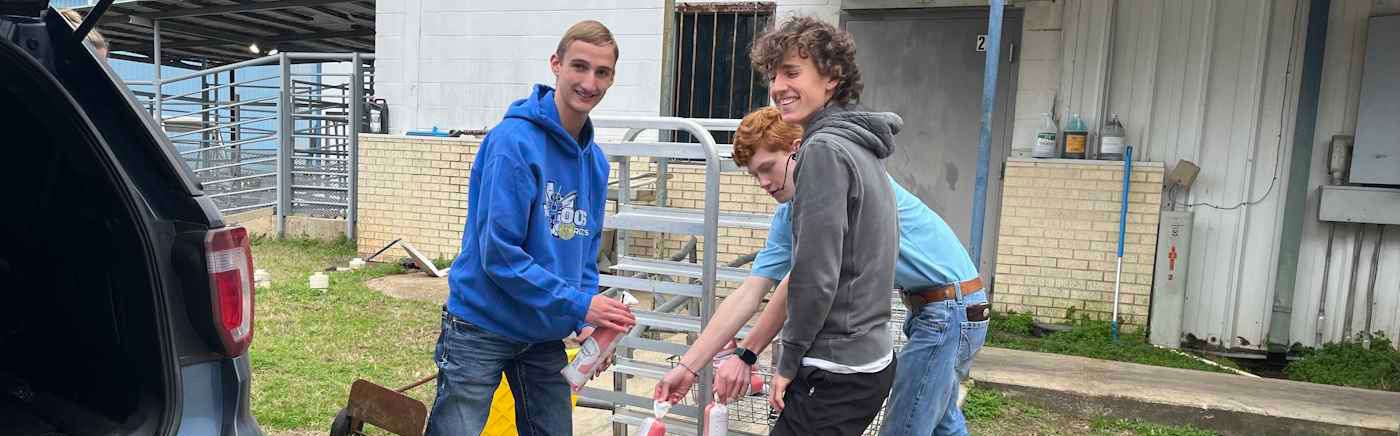 Banner - How We Help