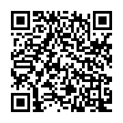 Zeffy QR Donate